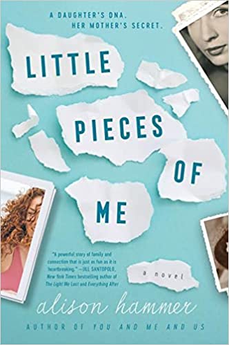 Little Pieces of Me Book Review