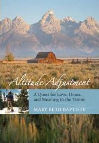 Altitude Adjustment by Mary Beth Baptiste