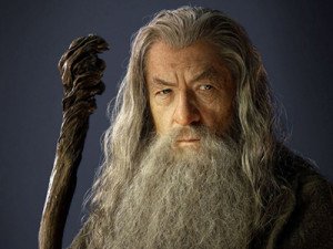 Gandalf - The Lord of the Rings