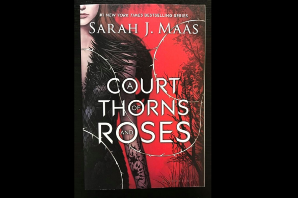 Review: A Court of Thorns and Roses - Literary Quicksand